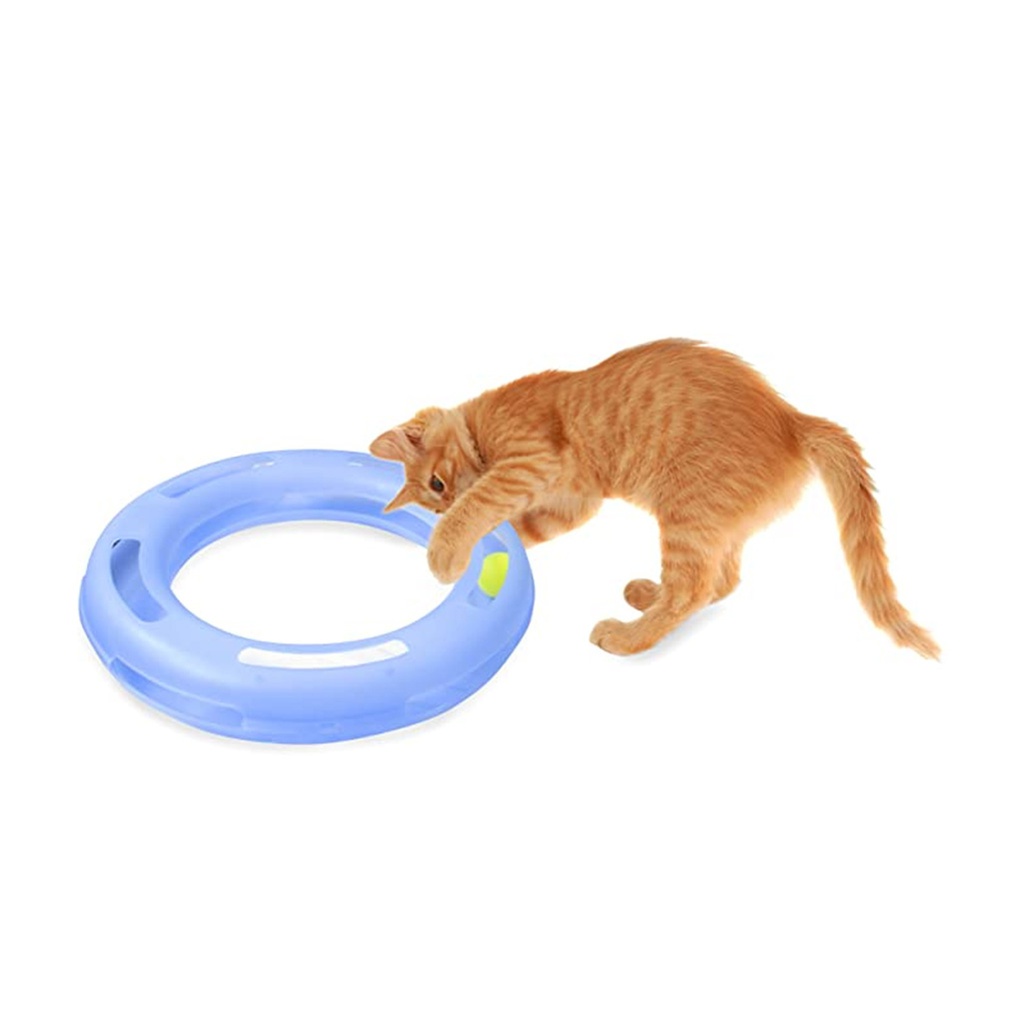 petmate-crazy-circle-cat-enrichment-toy-cat-playing