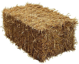 [10064922] SQUARE STRAW BALE EACH
