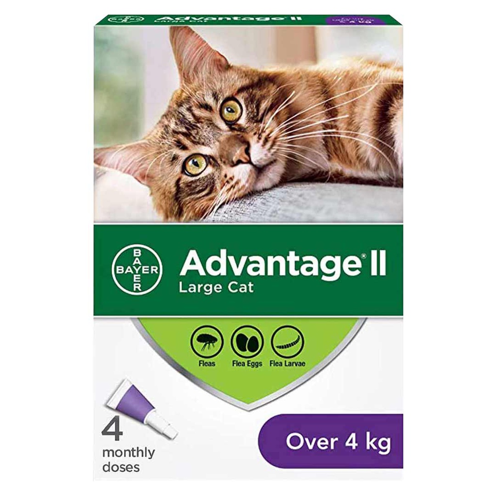 Advantage II Cat Dose For Cats Over 4Kg MB Country Living