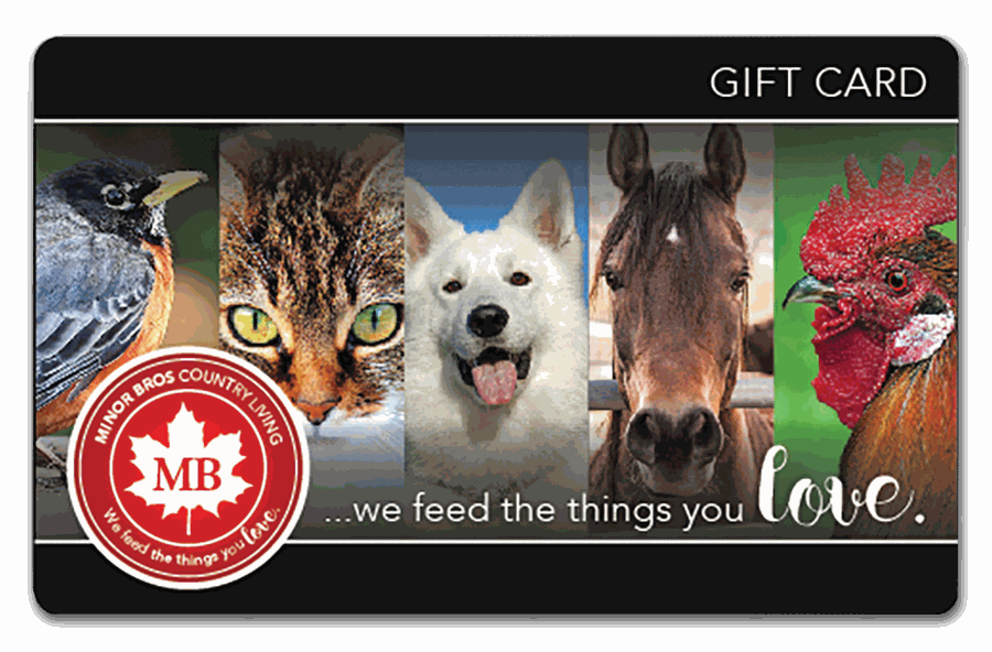 Photo of our gift cards. Black with images of a bird, cat, dog, horse and chicken. Includes our logo and slogan: we feed the things you love.