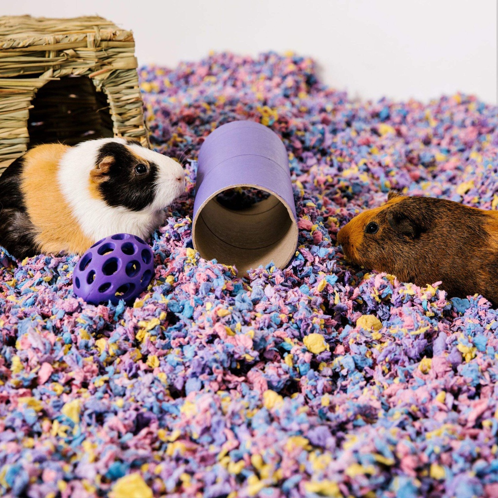 CAREFRESH COMPLETE CONFETTI 50L