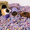 CAREFRESH COMPLETE CONFETTI 50L