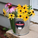 BEHRENS GALVANIZED STEEL PAIL 5QT flowers