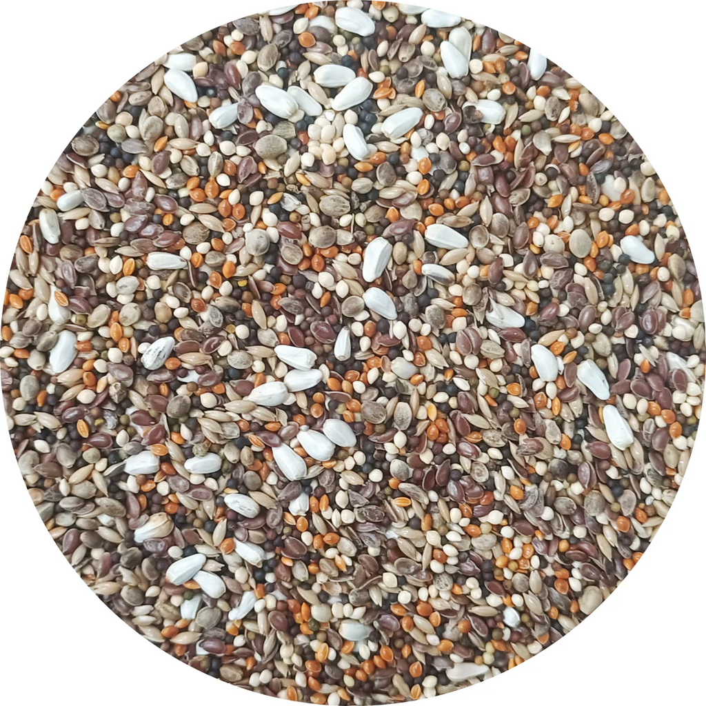 BADEN CANDY TREAT PIGEON MIX #68 11.34KG