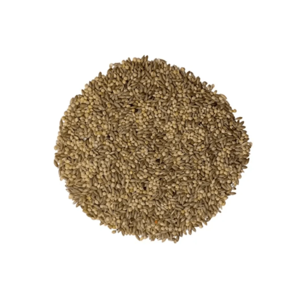 BADEN BUDGIE MIX 18KG