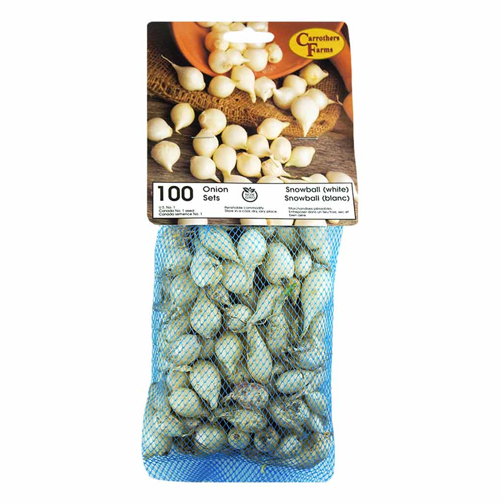 NO.1 WHITE ONION SETS 100/PK