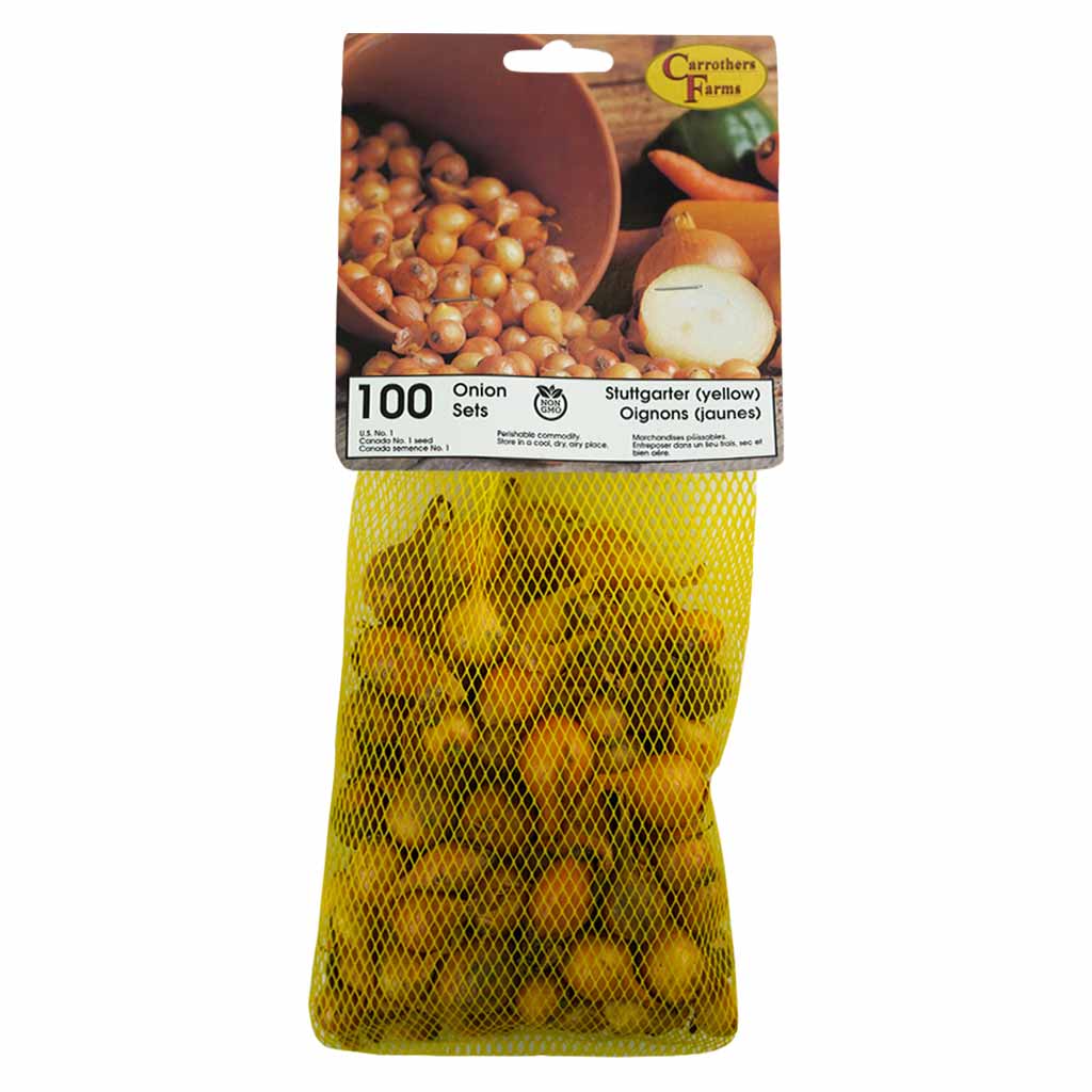 NO.1 DUTCH-YELLOW ONIONS 100/PK