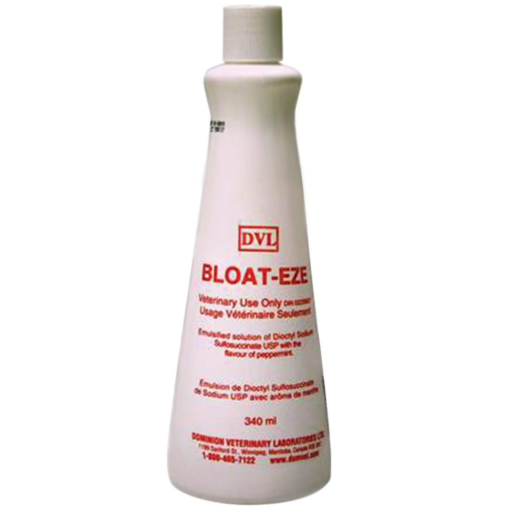 DVL BLOAT EZE 340ML