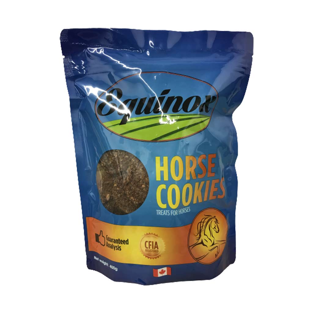 EQUINOX HORSE TREAT 400G