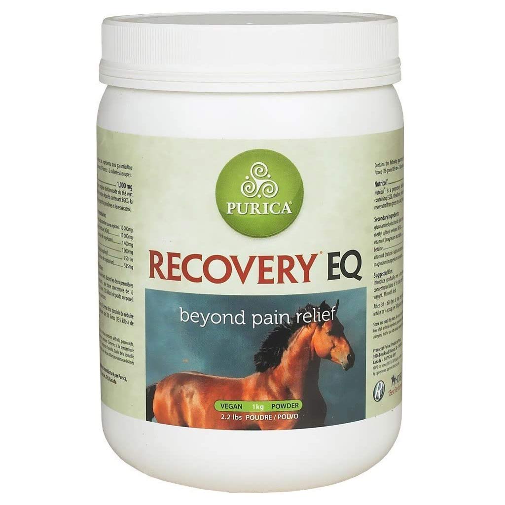 PURICA RECOVERY EQ 1KG
