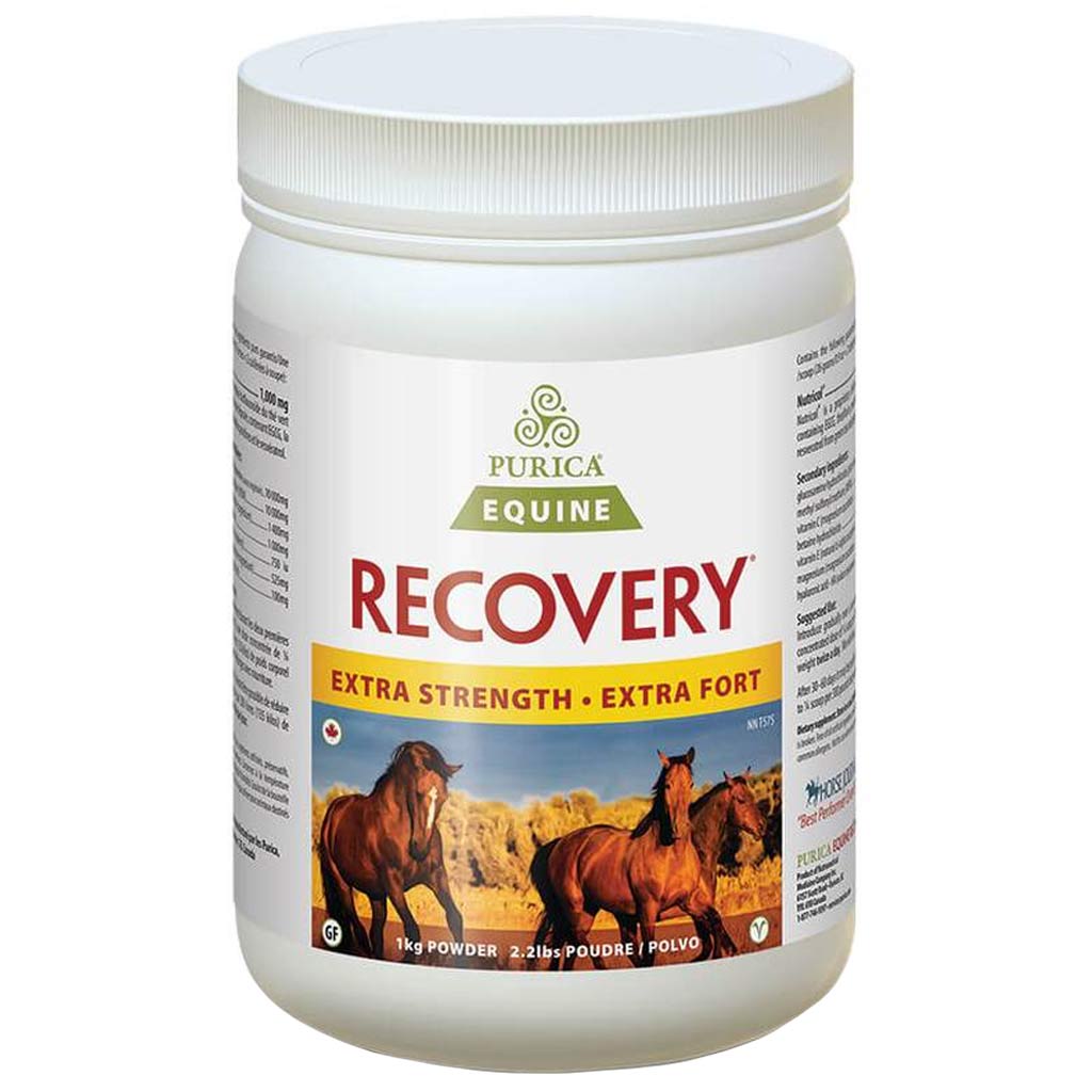 PURICA RECOVERY EQ EXTRA STRENGTH 1KG