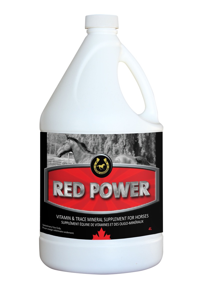 GOLDEN HORSESHOE RED POWER 3.8L