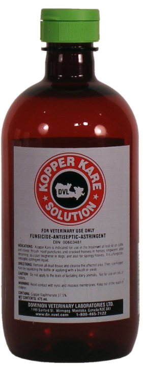 DVL KOPPER KARE ANTISEPTIC &amp; FUNGAL 475ML