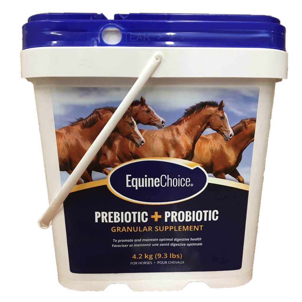 EQUINE CHOICE PROBIOTIC POWDER [4.2KG]