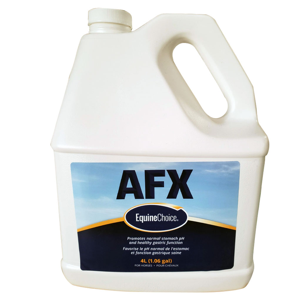 EQUINE CHOICE ACID FX 4L