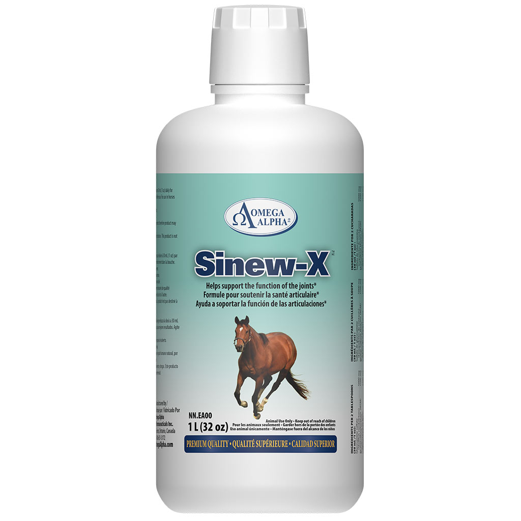 OMEGA ALPHA EQUINE SINEWX 1L