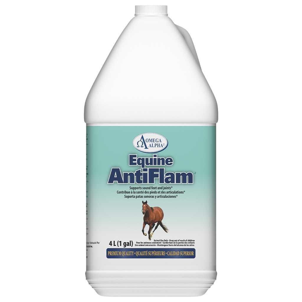 OMEGA ALPHA EQUINE ANTIFLAM 4L