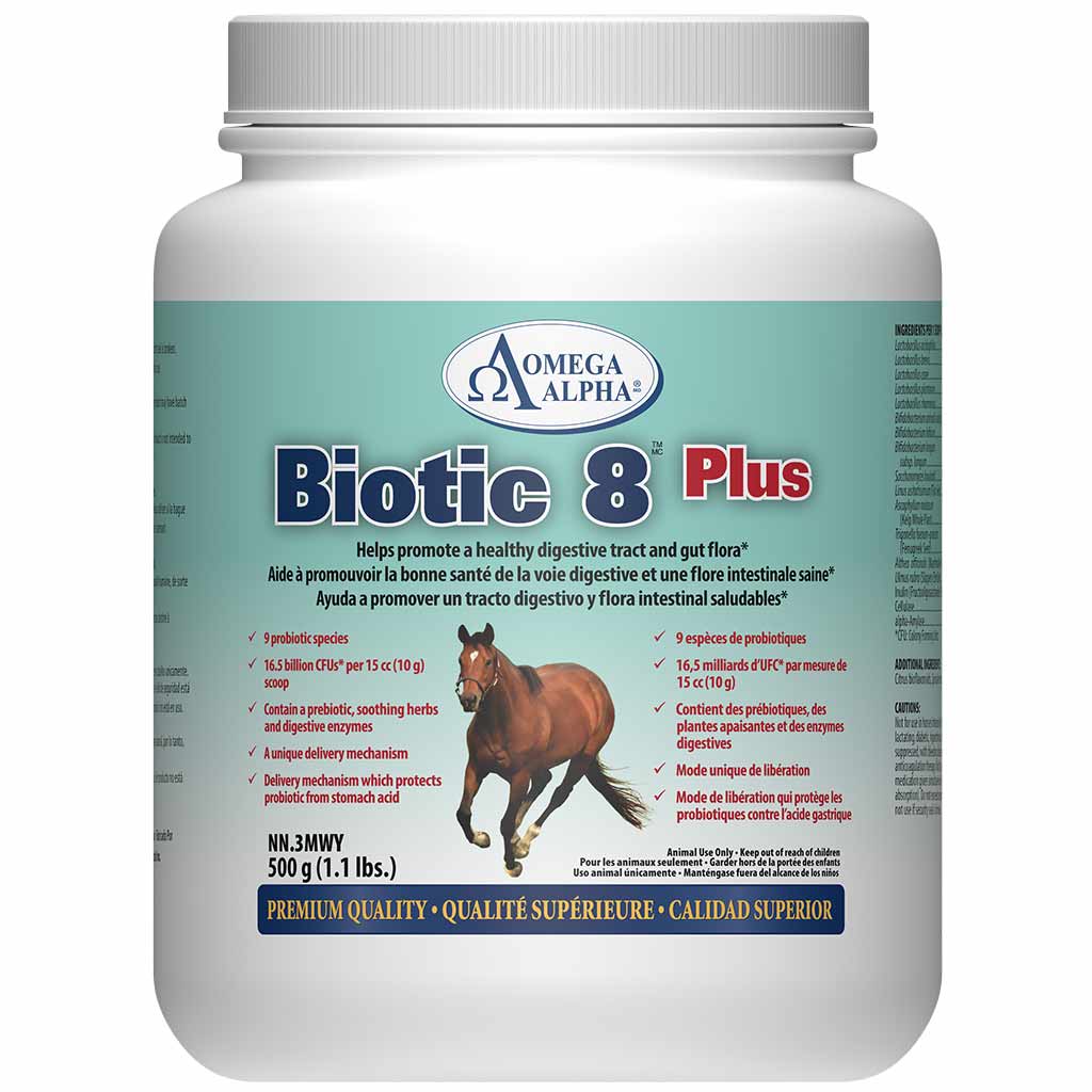 OMEGA ALPHA EQUINE BIOTIC 8 PLUS 500G