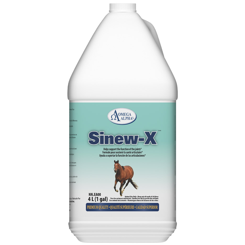 OMEGA ALPHA EQUINE SINEWX 4L