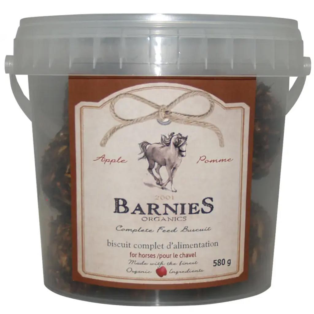 BARNIES TREATS APPLE (15 PK) 580g