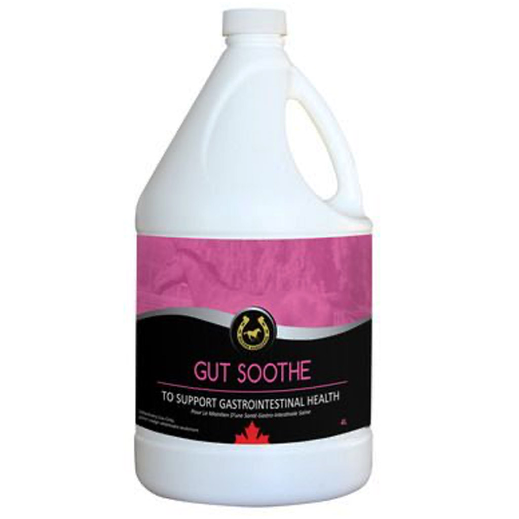 GOLDEN HORSESHOE GUT SOOTHE 4L