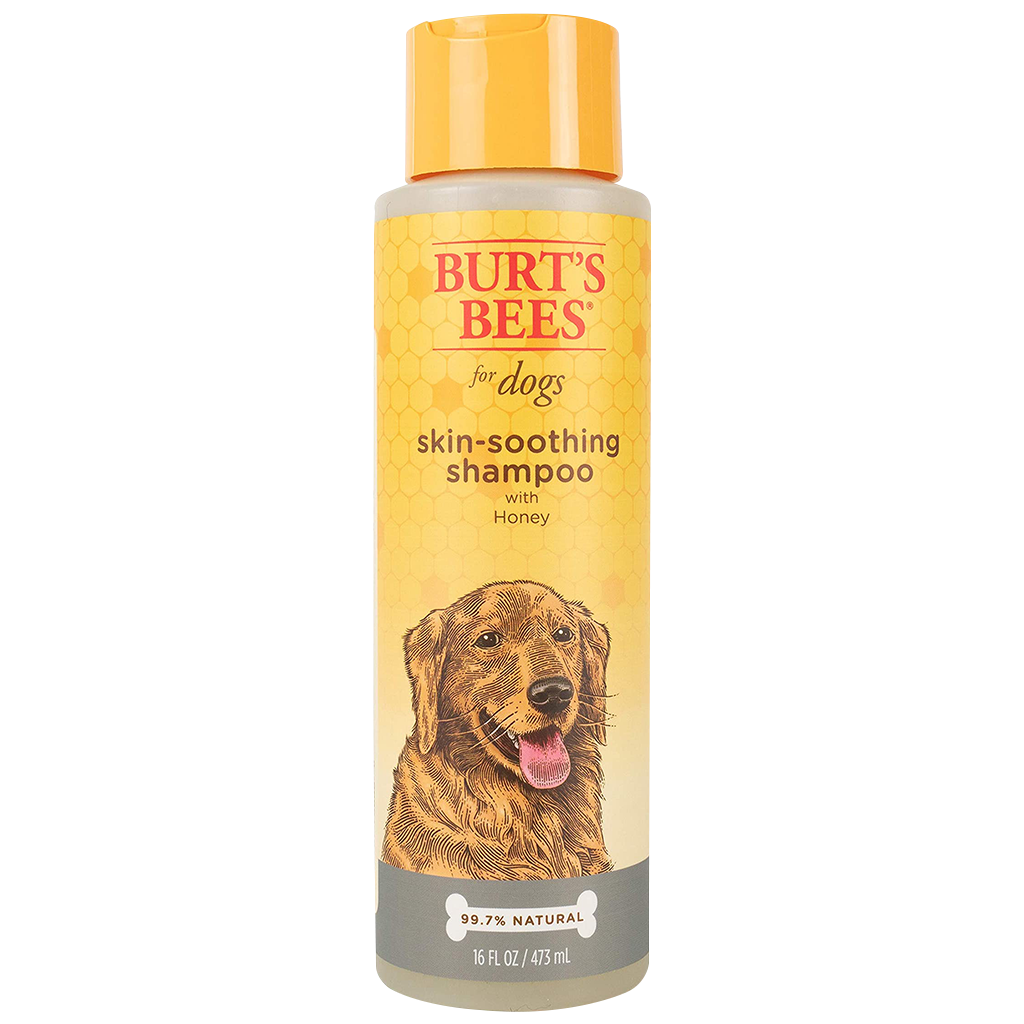 DV - BURTS BEES SOOTHING DOG SHAMPOO 16OZ