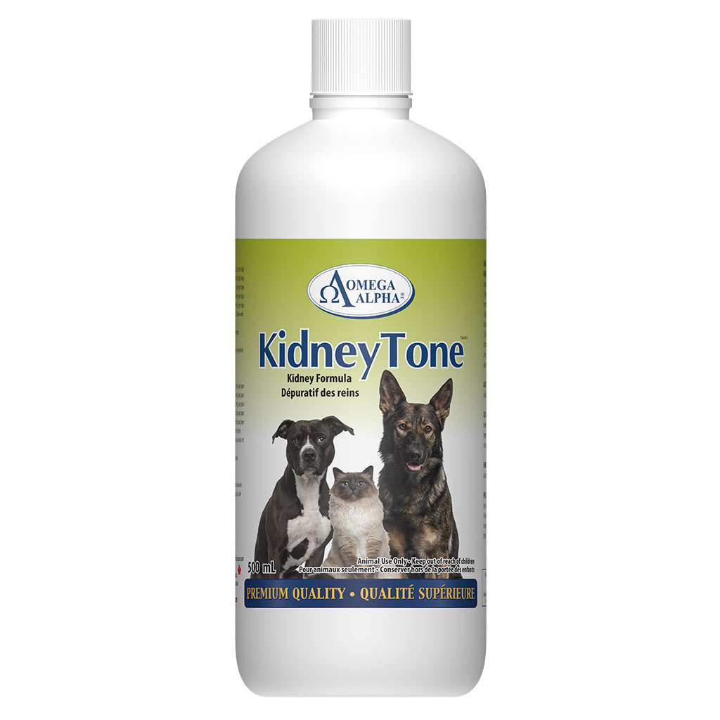 DMB - OMEGA ALPHA PET KIDNEY TONE 500ML