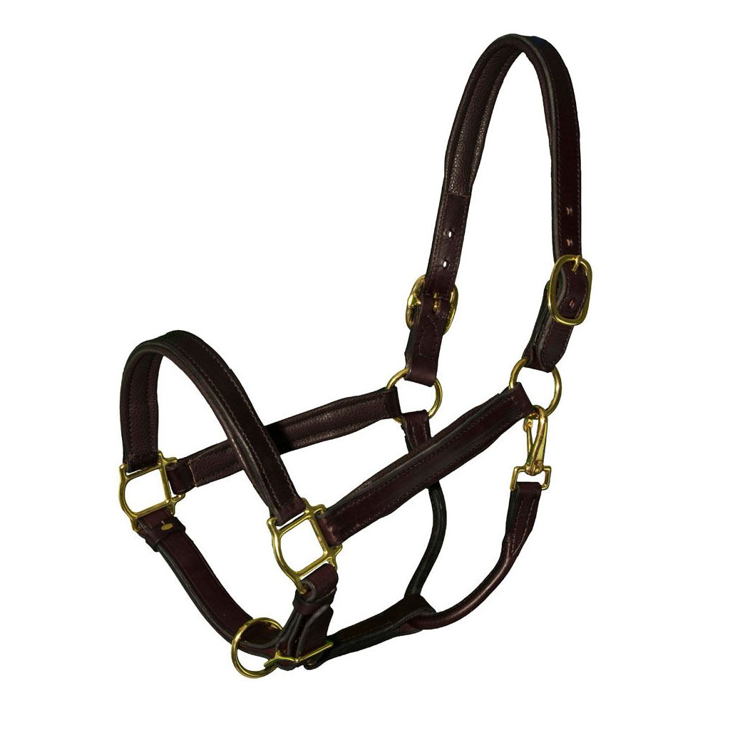 DMB - GER-RYAN GATSBY LEATHER YEARLING HALTER