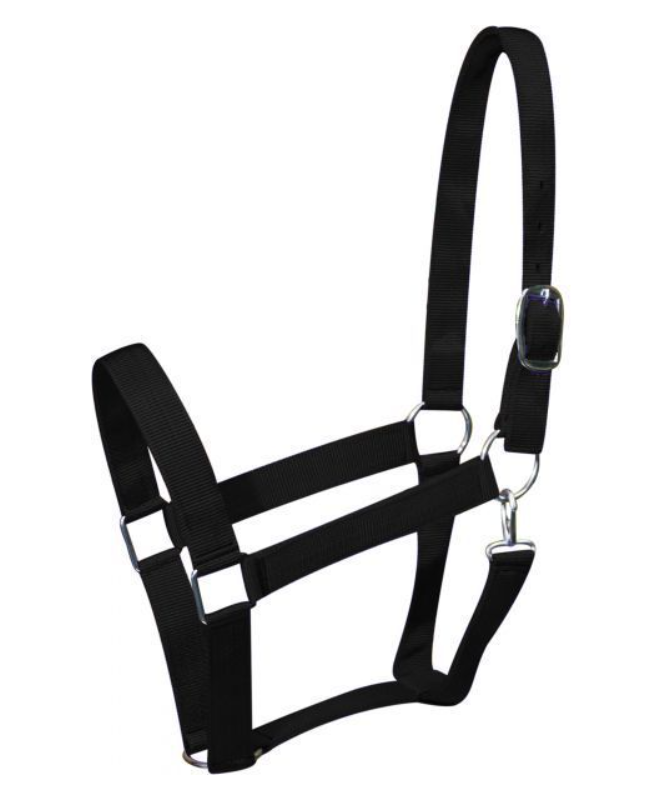 GER-RYAN NYLON HALTER DRAFT 2" SOLID COLOUR