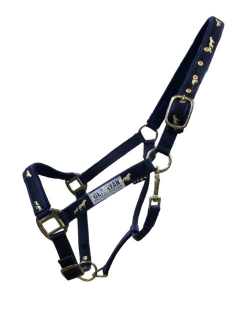 GER-RYAN NYLON HALTER PADDED HORSE PRINT COB NAVY