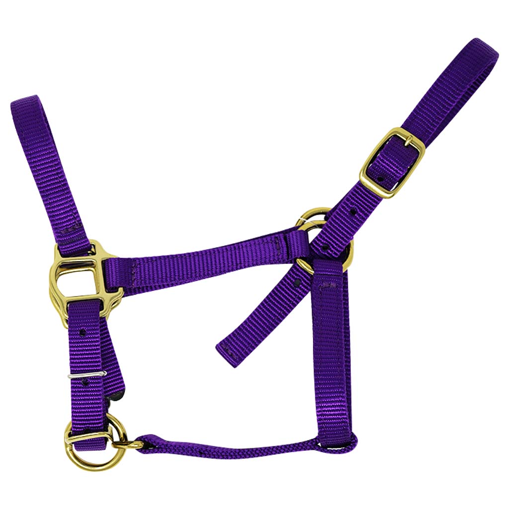 GER-RYAN NYLON HALTER MINI PURPLE