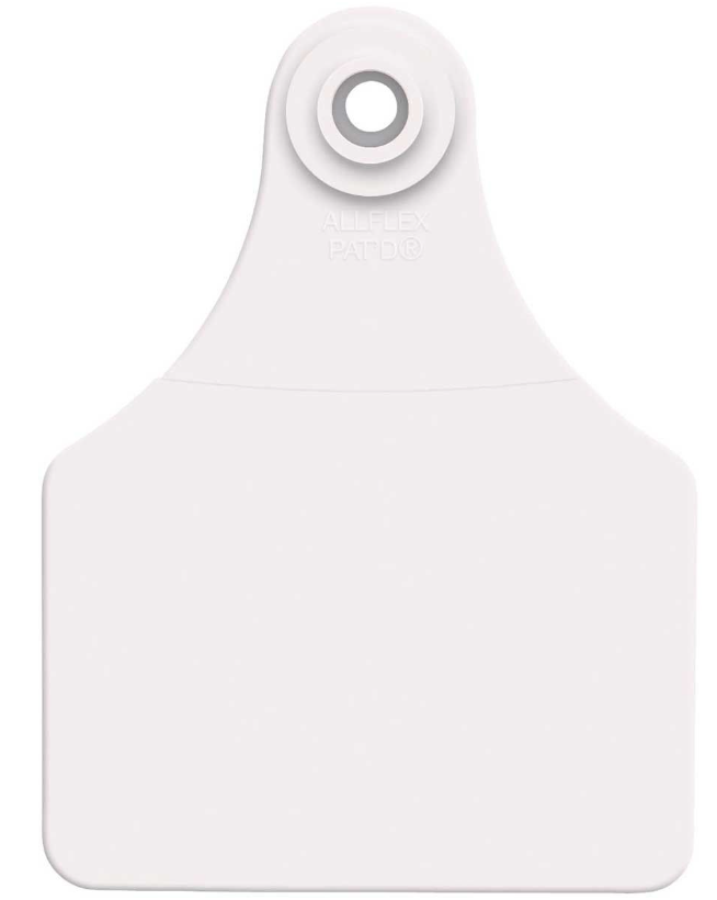 ALLFLEX BLANK TAG LARGE WHITE COMPLETE BUTTONS (25PK)