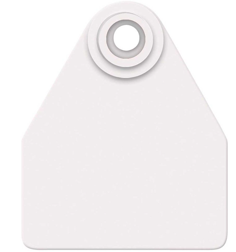 ALLFLEX BLANK TAG MEDIUM WHITE (25PK)
