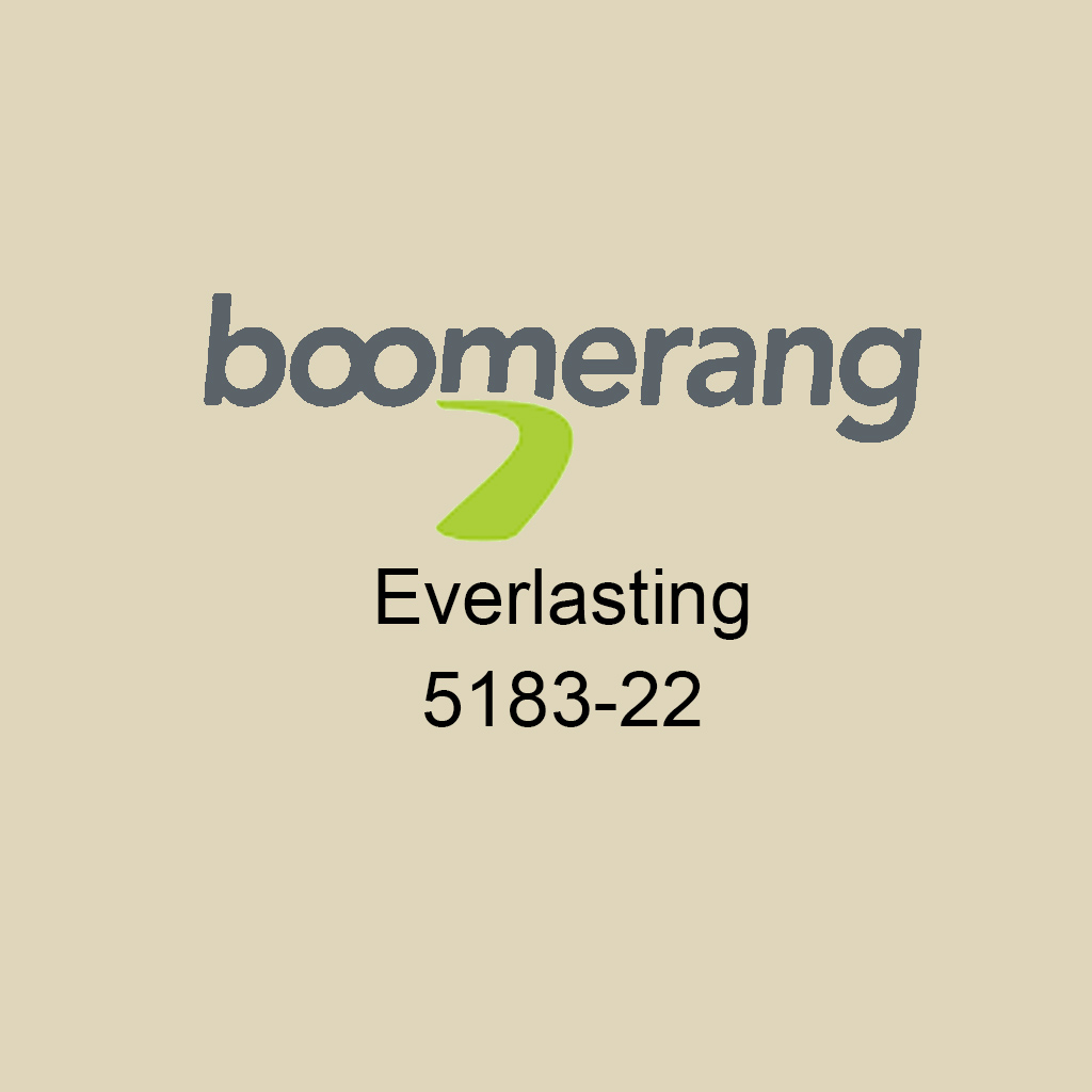 DMB - BOOMERANG LATEX PAINT VELVET EVERLASTING 3.78L