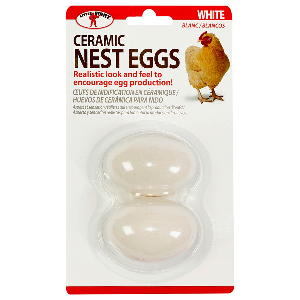 DR - LITTLE GIANT CERAMIC NEST EGGS WHITE 2PK