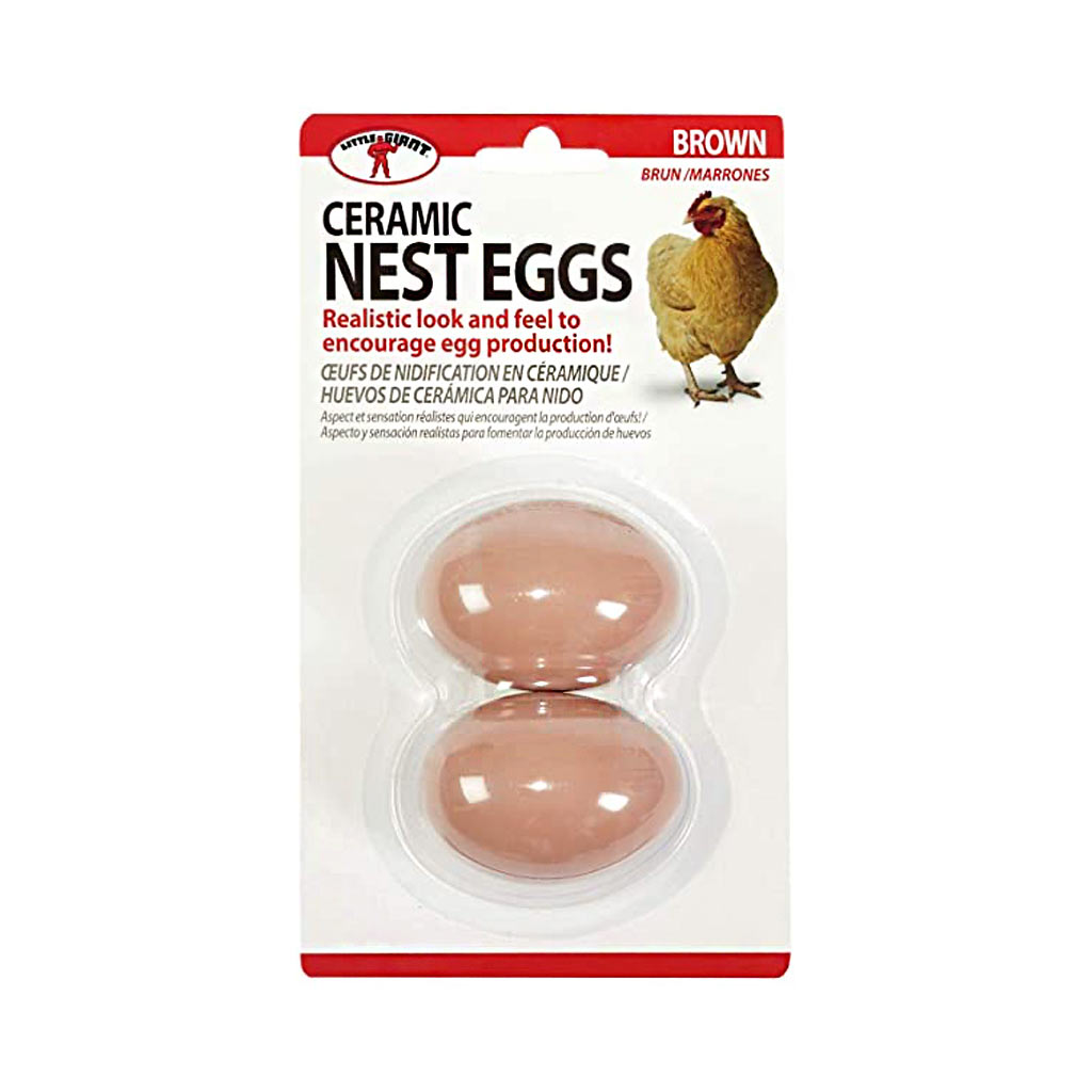 DR - LITTLE GIANT CERAMIC NEST EGGS BROWN 2PK