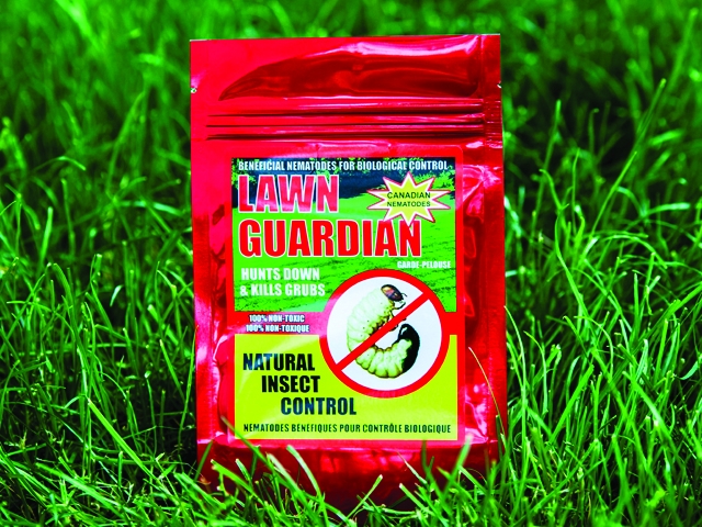 LAWN GUARDIAN 10 MILLION NEMATODES