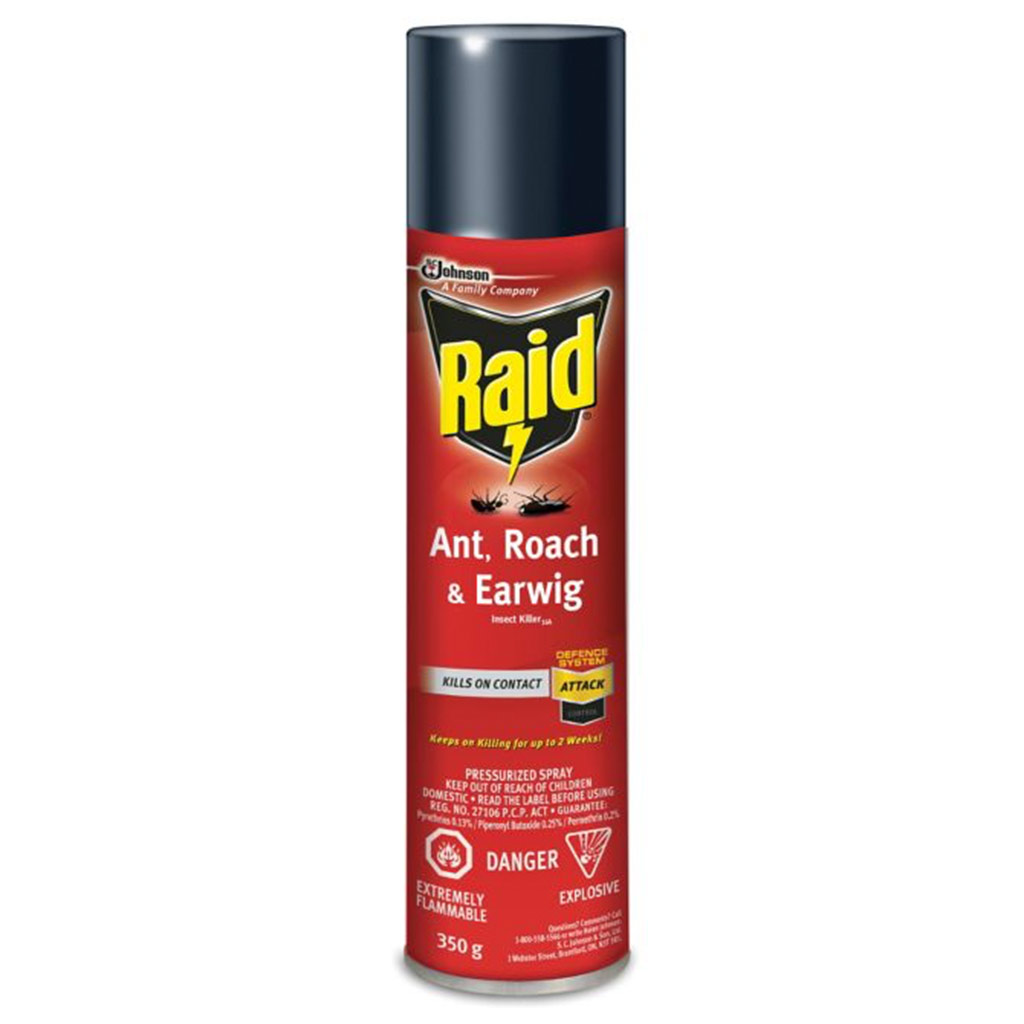 RAID ANT/ROACH/EARWIG KILLER 350G