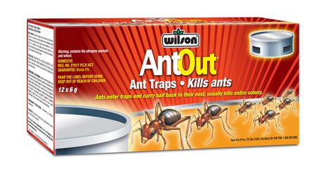 WILSON ANT TRAP (12PK)