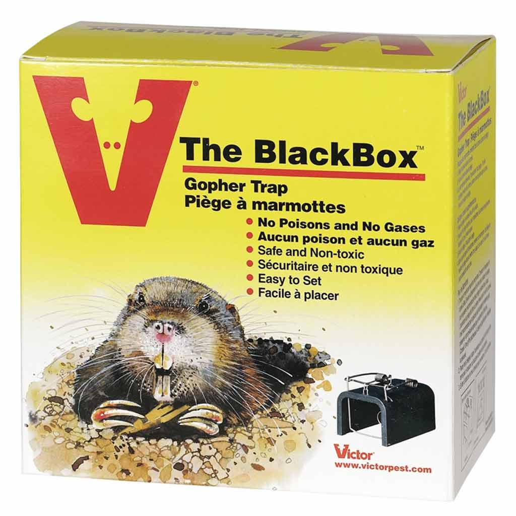 DMB - VICTOR BLACK BOX GOPHER TRAP