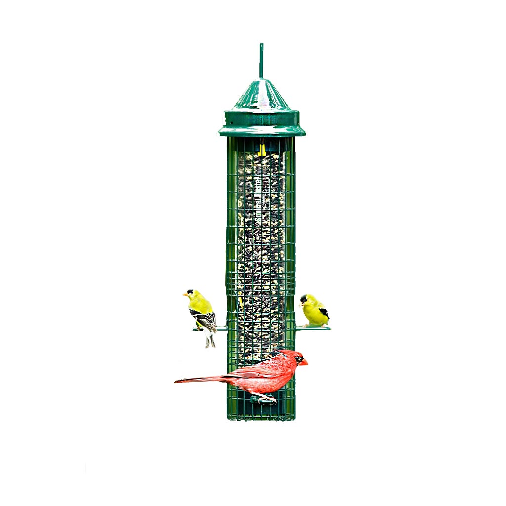 BROME SQUIRREL BUSTER CLASSIC 32&quot;