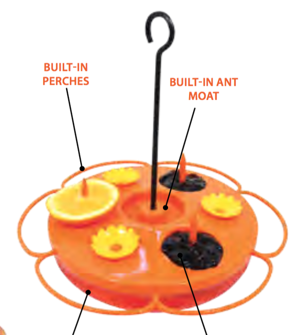 PINEBUSH ORIOLE TRAY FEEDER FOR NECTAR &amp; JELLY