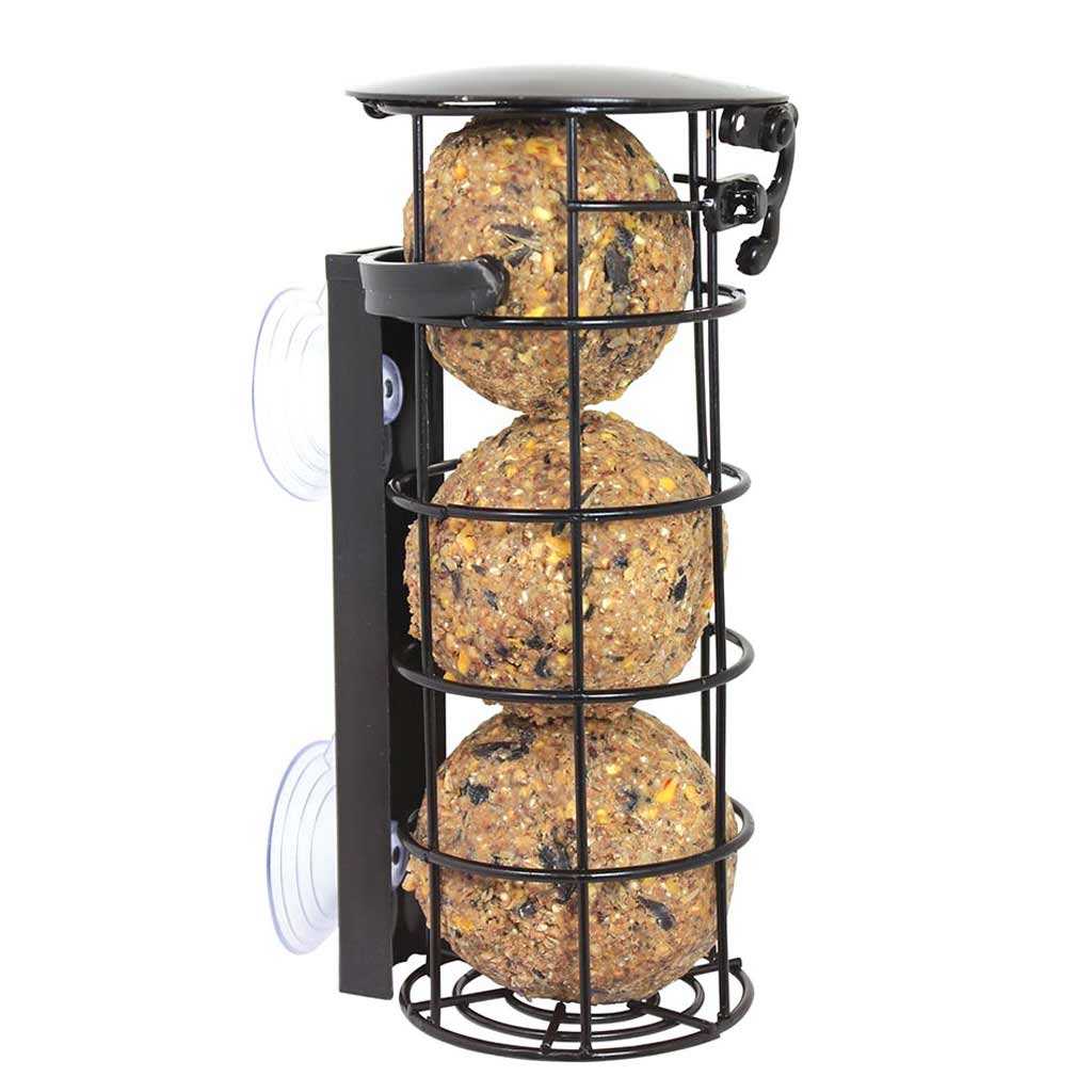 DMB - PINEBUSH WINDOW SUET BALL FEEDER