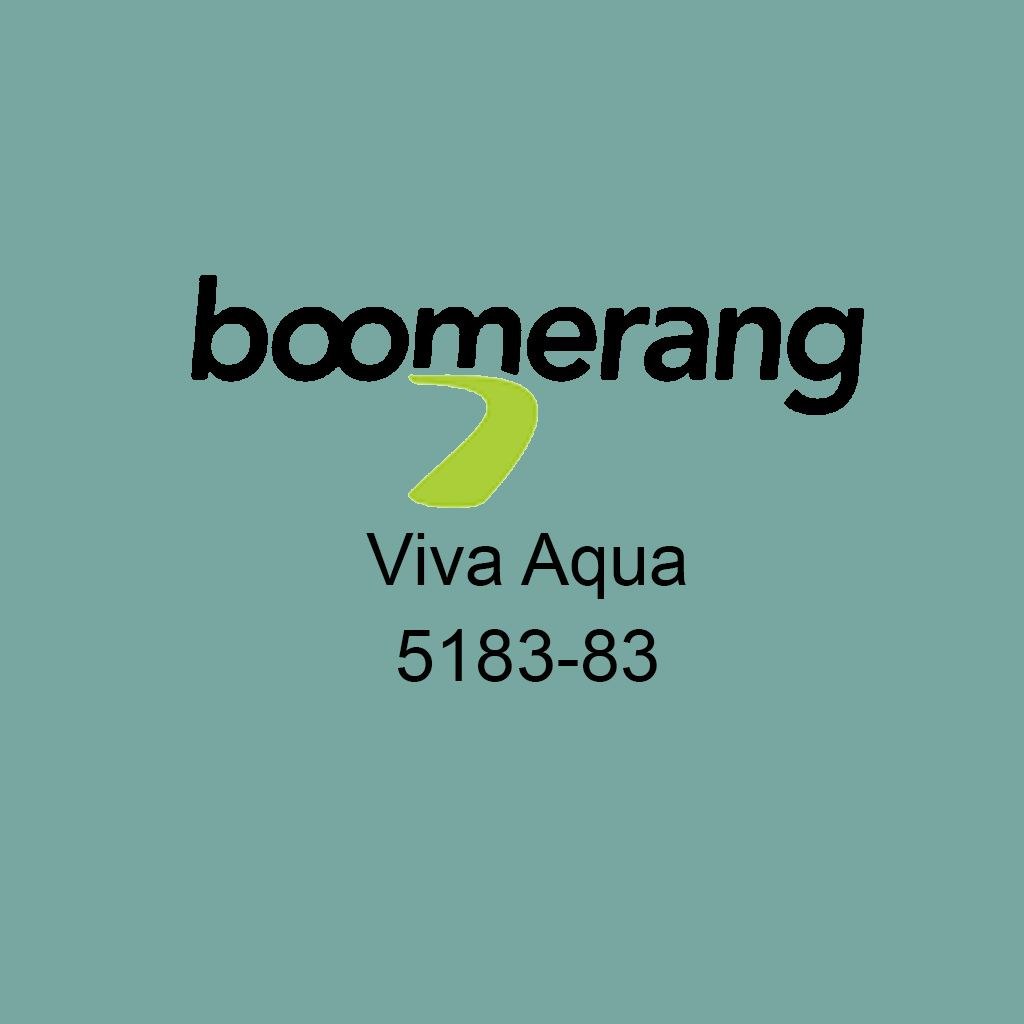 DV - BOOMERANG INTERIOR LATEX PAINT, VIVA AQUA 3.78L 