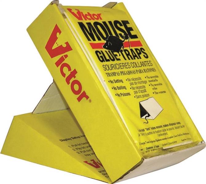 DV - VICTOR GLUE BOARD MOUSE TRAP (2PK)