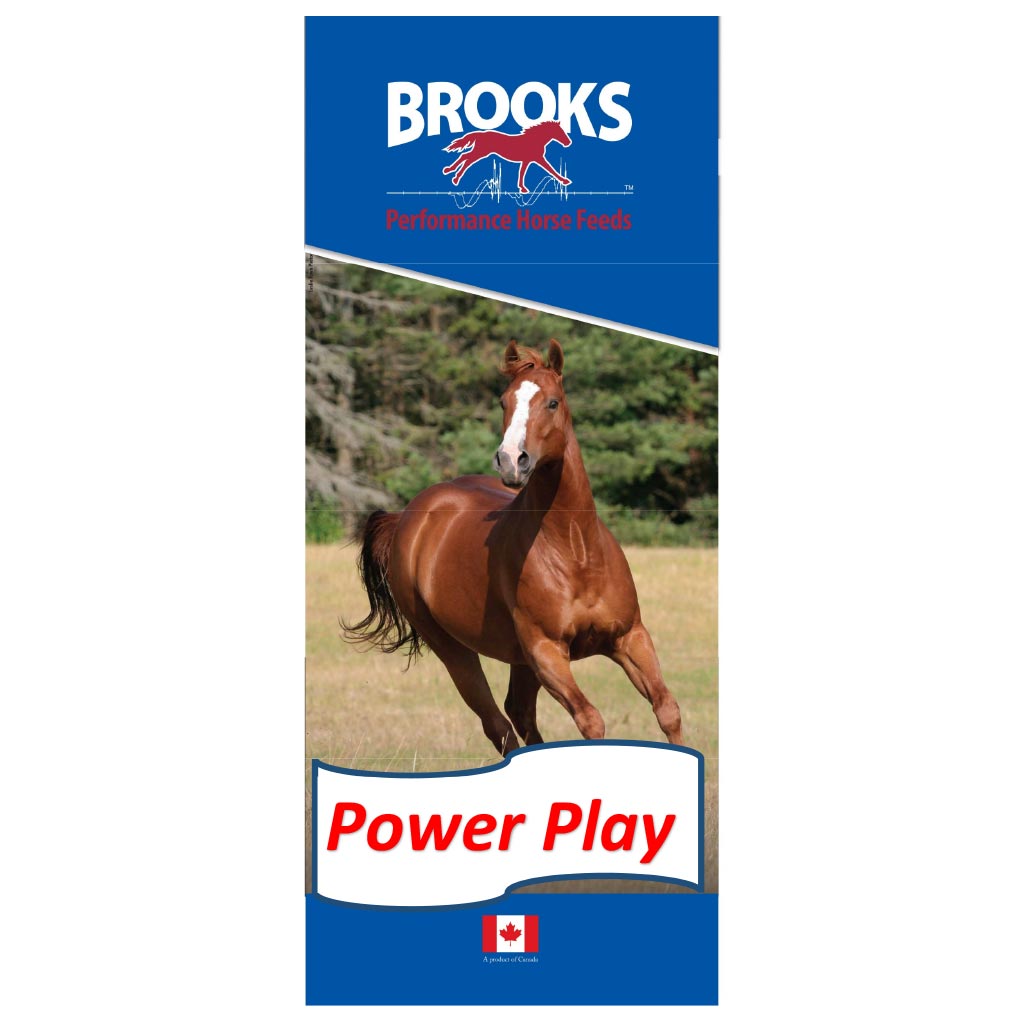 BROOKS POWER PLAY TEXTURED 25KG