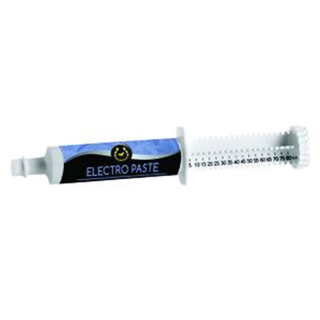 GOLDEN HORSESHOE ELECTRO-PASTE TUBE 80g