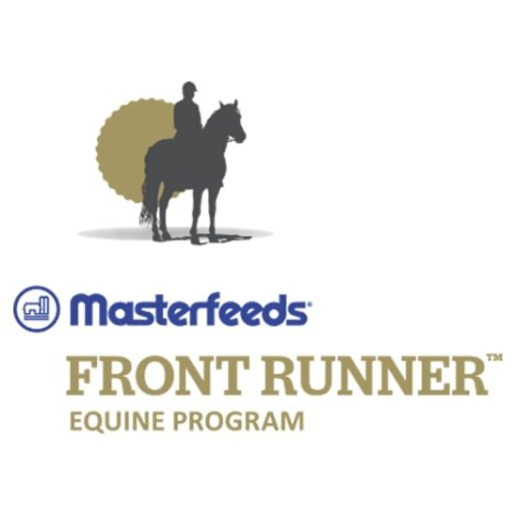 MASTERFEEDS FRONT RUNNER LOOSE HORSE MINERAL 25KG