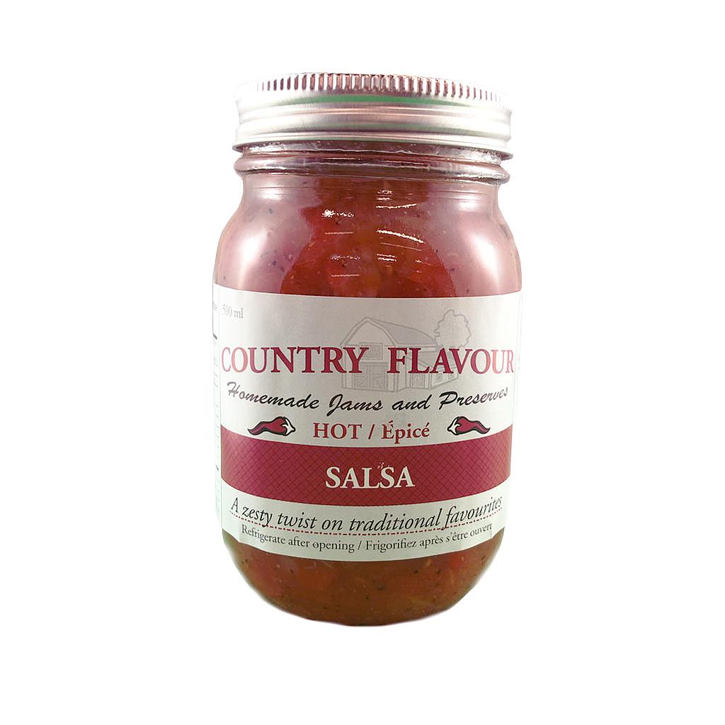 COUNTRY FLAVOUR 500ML HOT SALSA