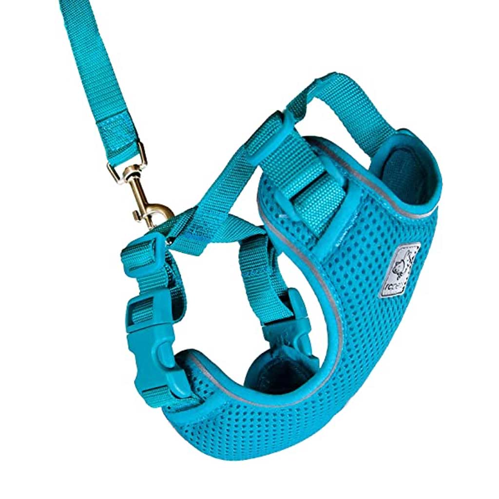 RC PET ADVENTURE KITTY HARNESS LRG TEAL